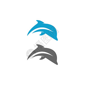 海豚标志图标设计概念向量模板酒店身份野生动物生活动物潜水哺乳动物公司游泳圆圈图片