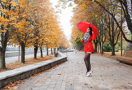 穿着红大衣的年轻女孩 拿着雨伞站在巷子上季节黄色女士森林胡同眼镜公园树叶红色外套图片