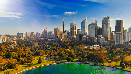 悉尼港的悉尼天线空中观察旅行建筑学码头照片市中心旅游景观地标娱乐运输图片