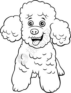 贵宾犬玩具狗卡通动物角色着色书页背景图片