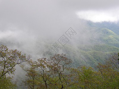 北卡罗来纳州蓝脊山脉山脉旅行森林背景图片