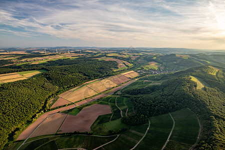 德国莱茵兰帕拉蒂茨的风景空中观风力森林植物全景爬坡阳光晴天葡萄园村庄气球图片