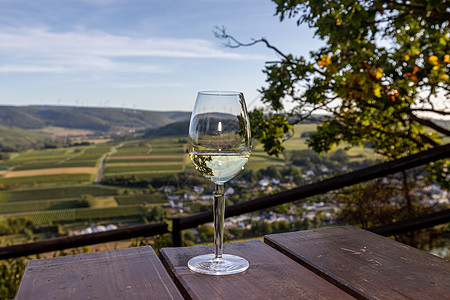 白葡萄酒和背景景观之花植物葡萄园地下室蓝色风景晴天天空食物葡萄藤蔓图片