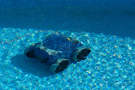 游泳池的新机器人图片