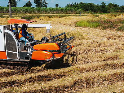 技术与农业食物土壤运输机械培育车辆土地收获工作农场图片