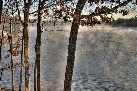 阿肯色州德索托湖薄雾图片