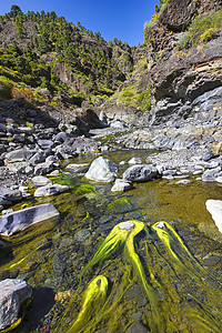 野生野生动物地质学生物旅行旅游风景山沟火山口环境生态火山图片