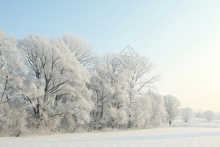 日出时的冬季风景天气魔法场景晴天天空太阳旅行气候农村冻结图片