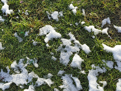 德国冬季在绿草地上的雪残留物雪帽白色绿色季节性图片