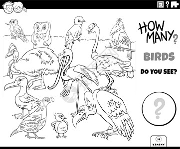数数孩子的鸟类教育任务着色书 pag图片