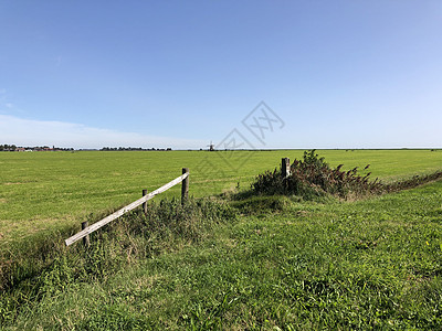 弗里斯林风车农田芦苇地标风景图片