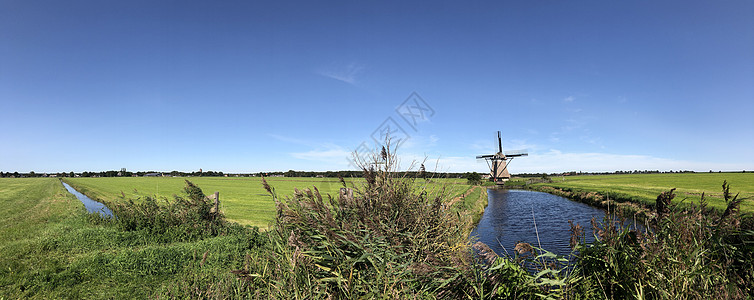 风车的弗里西亚风景全景地标运河芦苇农田图片