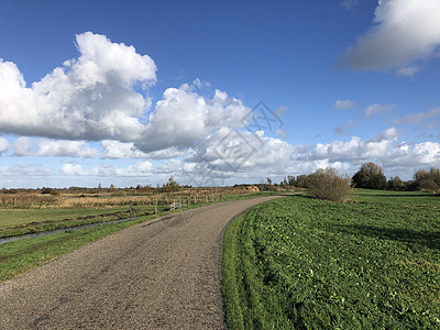 Nijetrijne周围公路蓝天自然保护区草原风景背景图片