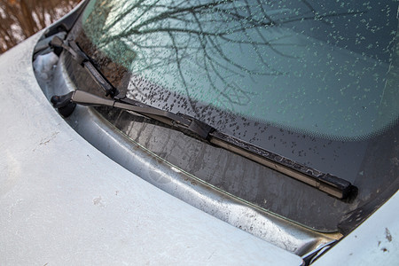 晨车挡风玻璃和水刀擦雨器上的轻霜薄片清洁工低温水器司机车辆天气橡皮汽车背景运输图片