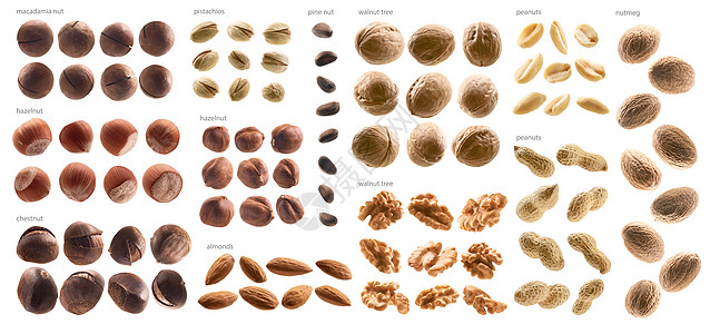 白色背景上大量不同坚果的大型收藏图片