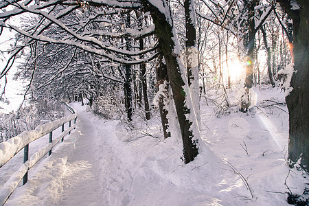 在萨尔茨堡漫步 冬季风雪景林地寒冷扶手人行道小路天气旅行阳光路线森林图片