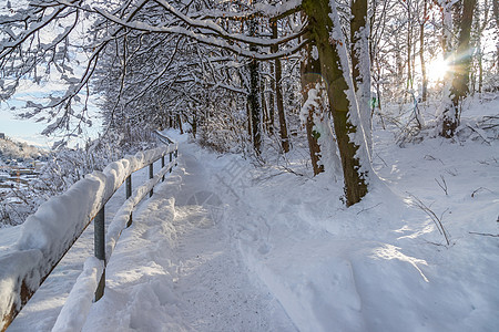 在萨尔茨堡漫步 冬季风雪景人行道风景林地仙境栏杆寒冷森林阳光天气路线图片