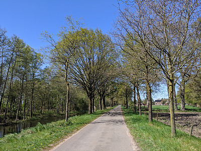 春天通向盖德兰Veldhoek的道路运河阴影晴天蓝天图片