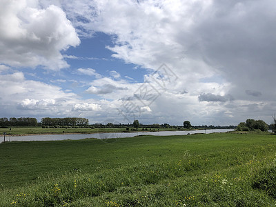 韦苏姆周围的IJssel河风景农田风车背景图片