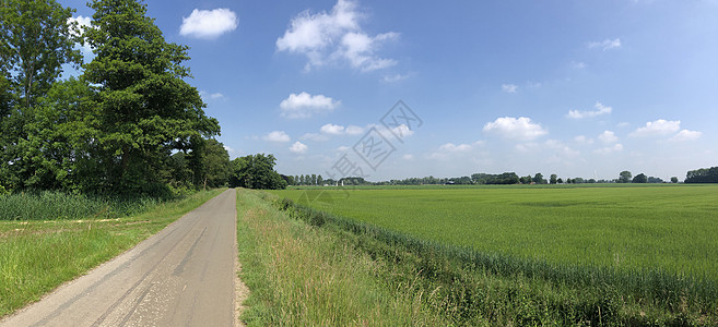 格拉姆斯贝根周围的农场天空绿色全景图片