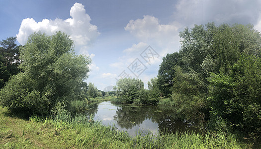贝内登雷吉河上桥反射风景图片