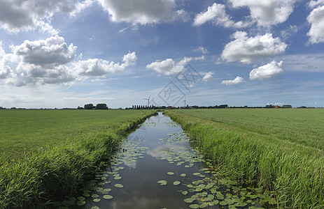 荷兰弗里斯兰群岛地貌绿色风景运河图片