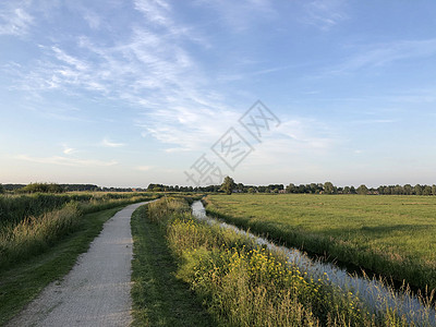 通往弗里斯兰Sneek的路风景农田绿色运河草原小路图片