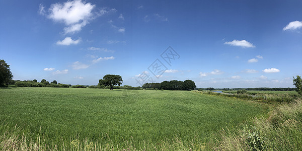 从Vecht河周围草原的全景绿色图片