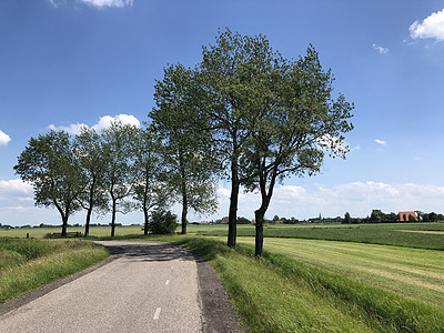 通往Hartwerd周围的道路农田风景绿色草原图片