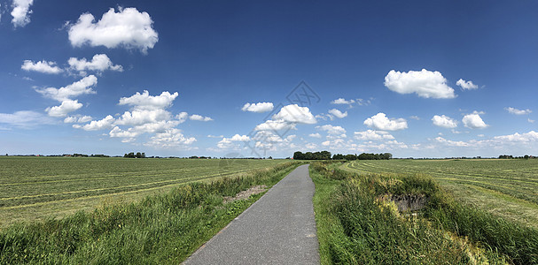 Burgwerd附近农田的全景小路绿色草原图片