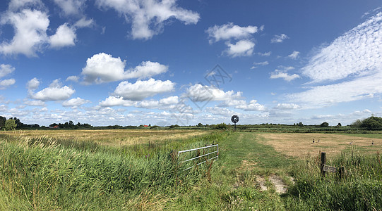 Veenhoop的风景风车动物全景农田云景天空草地背景图片
