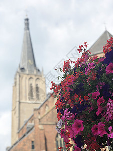 荷兰Dosburg街上的鲜花图片
