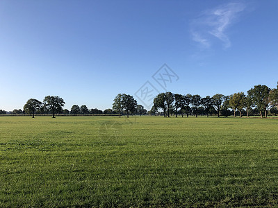 盖德兰Veldhoek周围的农场蓝天农田绿树图片