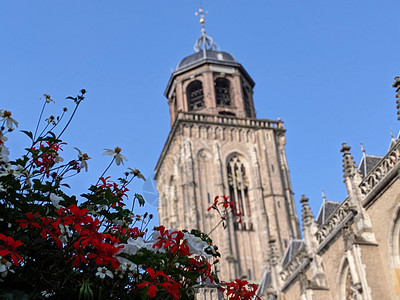 Deventer的圣勒布伊努斯教堂城市建筑学地标蓝天教会花朵图片