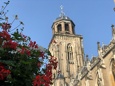 Deventer的圣勒布伊努斯教堂城市教会建筑学花朵蓝天地标图片