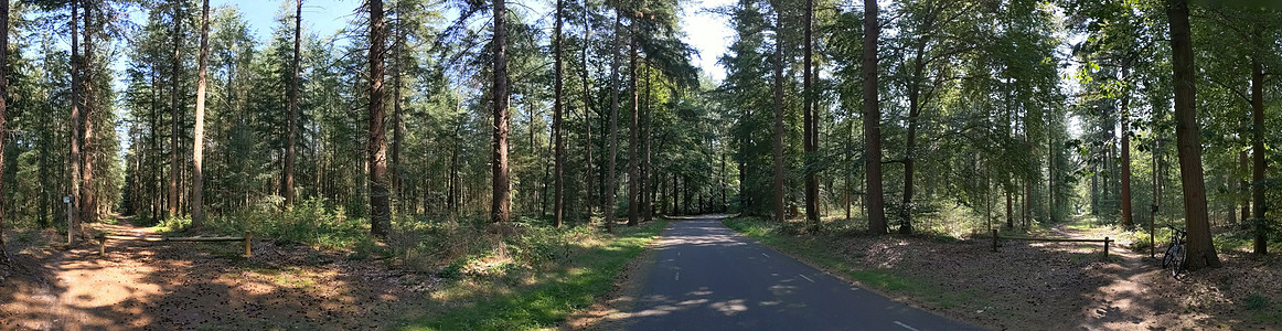 穿过莱梅勒堡森林的道路草原小路蓝天场地荒野农村地面全景图片