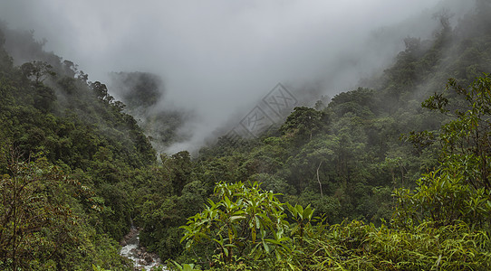 秘鲁的云林 全景观环境日光热带雨林摄影风暴旅行热带地球荒野风景图片