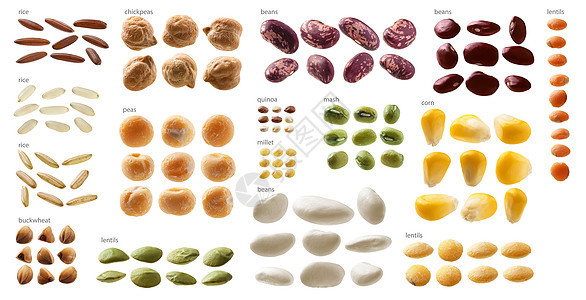 白色背景上大片不同谷物组的大型颗粒图片