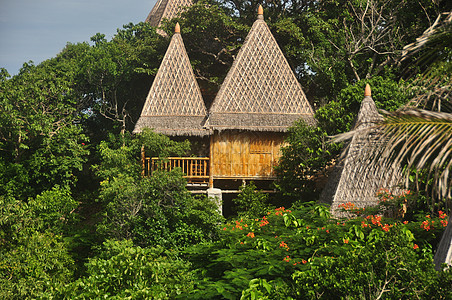 丛林小屋在明亮的绿色热带植被中看到带圆锥形茅草屋顶的木屋 茂密的热带植被中的茅草屋 天堂般的异国岛屿生活背景