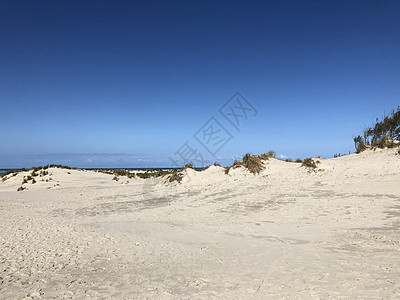 博尔库姆岛海滩假期风景沿海沙丘海岸旅行地平线支撑天空海岸线图片