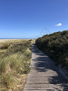 穿过沙丘的路径晴天风景海岸蓝色海滩旅行假期海洋海岸线波浪图片