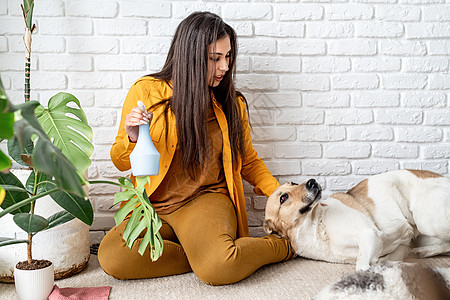 女园丁照顾家庭花园植物和给她的狗打耳光宠物乐趣女性叶子房子园艺生长温室工作爱好图片