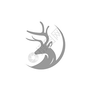 鹿标志图标插画设计 vecto标签哺乳动物绘画标识艺术品牌徽章驯鹿潮人商业图片