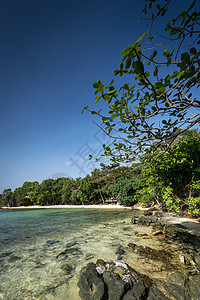 康塔基辅天堂岛坎波迪亚的树屋湾海岸线晴天海滩天堂海岸热带图片