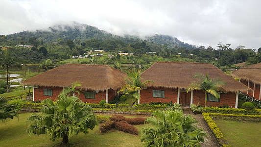 喀麦隆姆维拉市的房屋图片