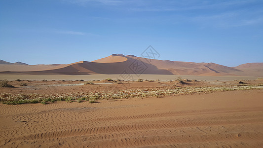 纳米比亚Sossusvlei红沙丘景观沙漠沙丘红色大爸爸蓝天图片