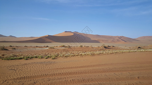 纳米比亚Sossusvlei红沙丘景观沙漠沙丘红色大爸爸蓝天背景图片