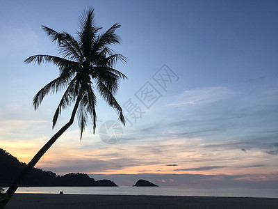 棕树和日落夫妻旅行海洋太阳假期棕榈蓝色天空天堂热带图片