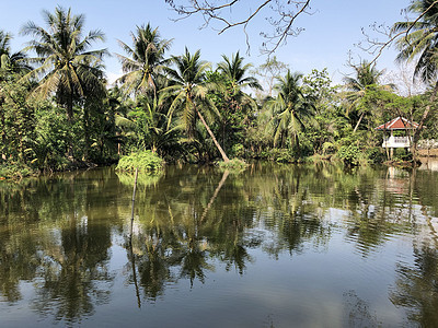 斯里兰卡公园反射公园植物园图片