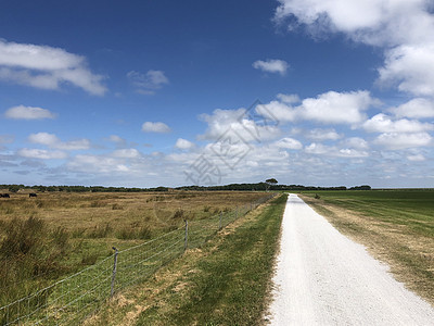 草原上的路舍尔门尼科格上的自行车路游客旅游农田小路背景